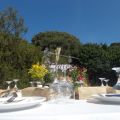 stateri outside wedding catering
